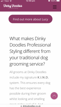 DinkyDoodles-Mobile-10